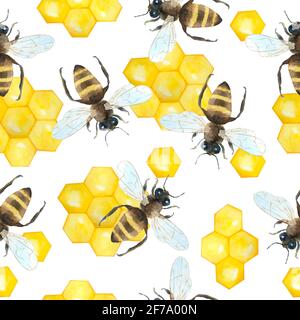 Aquarell nahtlose handgezeichnete Muster mit Hummeln, Natur natürliche Insekten, Sommer vibes modernes Design. Bienen auf geometrischen gelben Formen, natürliches Farmdesign. Für Textiltapete Geschenkpapier Stockfoto