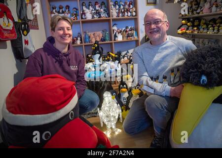 Cuxhaven, Deutschland. März 2021. Birgit Berends (l.) und Stefan Kirchhoff sitzen zwischen verschiedenen Pinguinfiguren im Museum. Pinguine, wo das Auge sieht: Ob als Plüschtiere, Sammlerfiguren oder an Krawatten - das Cuxhaven Penguin Museum wimmelt von Fracken. Birgits Berends und Stefan Kirchhoff streben mit ihrer Sammlung ein fünftes Album an. Quelle: Sina Schuldt/dpa/Alamy Live News Stockfoto