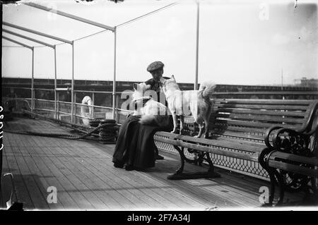 Die Bilder von Königin Victoria. Frau, die mit zwei Hunden auf dem Boot sitzt. Stockfoto