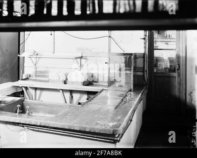 Geschirrspüler. Mont. Mosebacke im Jahr 1934. Stockfoto