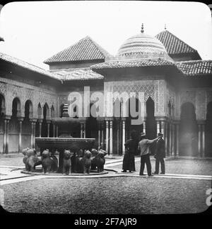 Skiopty-Ikone mit Motiven aus dem Schlossgarten, Alhambra mit dem Löwenbrunnen Patio de Los Leones.das Bild wurde in Karton mit der Aufschrift Höstesan 1910 aufbewahrt. Alhambra 9. N: 17. Bildtext: 'Patio de los Leones'. Stockfoto