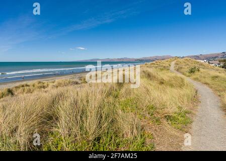 Schutz der Küstensanddünen am Brighton Beach Christchurch New Zealand Stockfoto