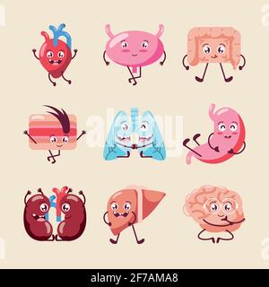 Niedliche menschliche Organe Stock Vektor
