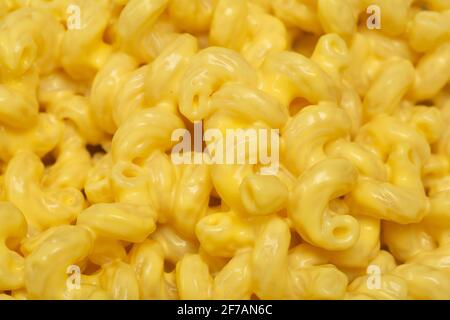 Pasta-Hintergrund. Mac und Käse Pasta Nahaufnahme Hintergrund. Italienische Pasta im amerikanischen Stil mit Käse. Hochwertige Fotos Stockfoto