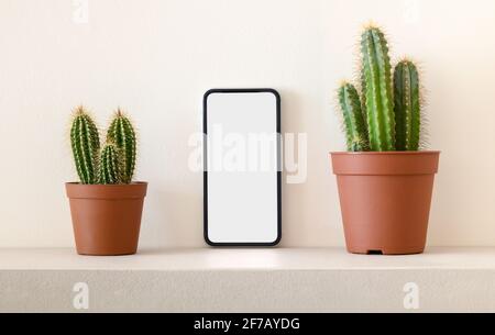 Modernes Mobiltelefon mit leerem Bildschirm, das auf dem Regal zwischen platziert ist Eingetopfte Kaktuspflanzen Stockfoto