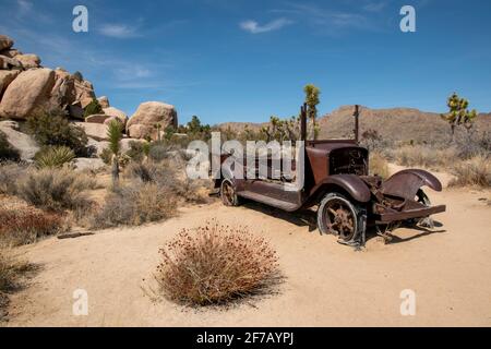 Im Joshua Tree National Park in Südkalifornien gibt es Ruinen wie diesen alten, rostigen Lastwagen. Stockfoto