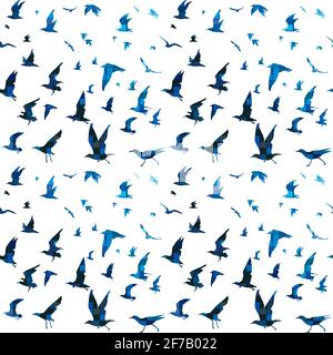 Vögel mit blauem Mosaik-Fliesenmuster Stock Vektor