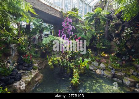 Das Sembcorp Cool House im National Orchid Garden, weite Sicht auf die Indoor-Landschaftsgestaltung. Singapur. Stockfoto