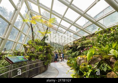 Innenarchitektur des Sembcorp Cool House, kuratierte die Orchideenkollektion. National Orchid Garden, Singapur. Stockfoto