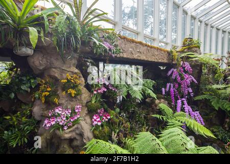 Innenarchitektur Landschaftsgestaltung des Sembcorp Cool House im National Orchid Garden, Singapur. Stockfoto