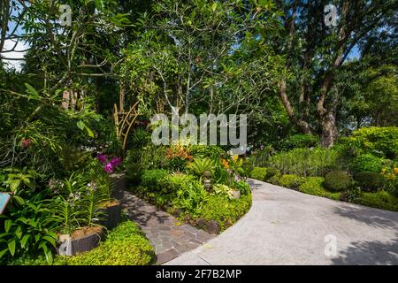 Der malerische Weg, der von üppigem Grün umgeben ist, ist im Singapore National Orchid Garden ein ruhiger Ort, ideal für Naturliebhaber, Reiseanbieter und Redakteure Stockfoto