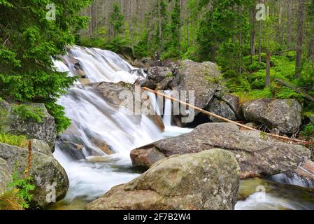 Wasserfälle am Bach Studeny potok in der Hohen Tatra, Westkarpaten, Slowakei Stockfoto