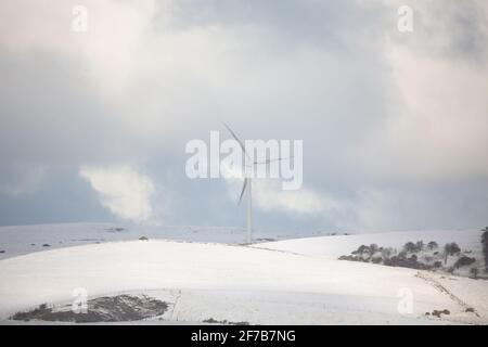 In der Nähe von Tynygraig, Ceredigion, Wales, Großbritannien. 06.April 2021 UK Wetter: Kalter Morgen, da die Gebiete von Ceredigion in der Mitte von Wales eine weiße Schneedecke bekommen. Foto aufgenommen in der Nähe von Tynygraig. © Ian Jones/Alamy Live News Stockfoto