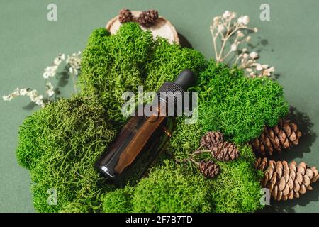 Draufsicht der Flasche mit Pipette in grünem Moos auf grünem Hintergrund. Alternative Medizin, pflanzliche Essenz, nachhaltiges Lifestyle-Konzept. Stockfoto