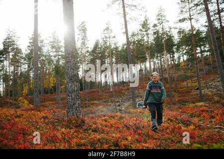 Ältere Frau, die durch den Wald geht Stockfoto