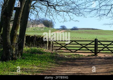 Altes Holztor in der englischen Landschaft Stockfoto