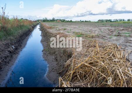 Bewässerungskanal in den Feldern der italienischen Landschaft Stockfoto