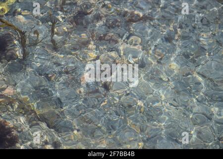 Sonnenbändchen im Wasser #1 Stockfoto