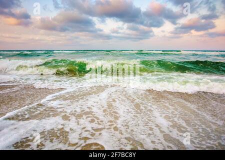 Flut auf einem bewölkten Sonnenuntergang. Grüne Wellen krachenden goldenen Sandstrand. Sturm Wetter nähert sich. Sommerurlaub Konzept Stockfoto