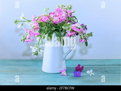 Frühlingsblumen In Vase. Isoliert. Bouquet von weißen und rosa Phlox Mini Perle . Türkisfarbene Holzoberfläche. Stockbild. Stockfoto