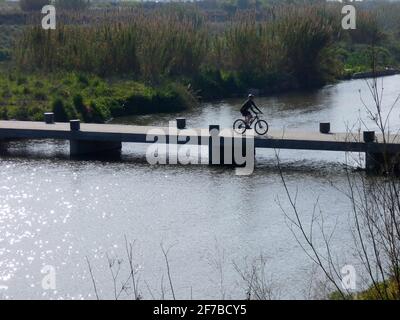 Person auf dem Fahrrad über einen Fluss auf einer Brücke. Sportler wandern auf Pfaden in der Nähe eines stillen Flusses. Stockfoto