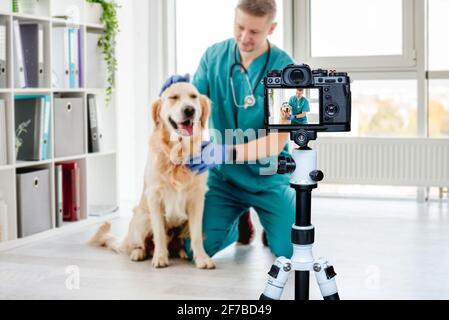 Tierarzt streichelte goldenen Retriever Hund Stockfoto