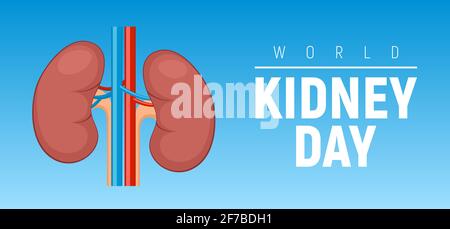 World Nierentag Vektor gesund Konzept Hintergrund Poster Stock Vektor