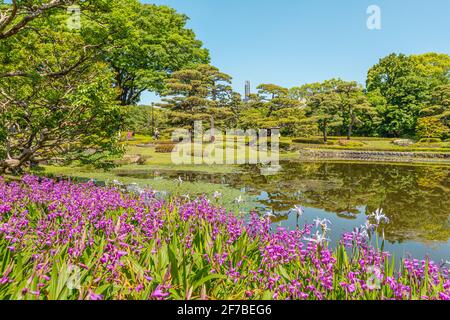 Frühlingsblumen im Ninomaru Garden in den East Gardens des Imperial Palace, Tokio, Japan Stockfoto