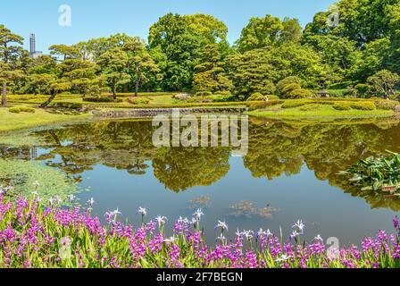 Frühlingsblumen im Ninomaru Garden in den East Gardens des Imperial Palace, Tokio, Japan Stockfoto