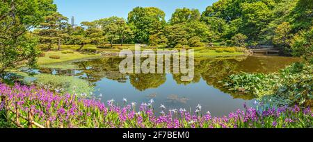 Frühlingsblumen im Ninomaru Garden in den East Gardens des Imperial Palace, Tokio, Japan Stockfoto