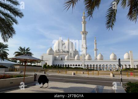 Die Scheich-Zayed-Moschee in Abu Dhabi, Vereinigte Arabische Emirate. Stockfoto