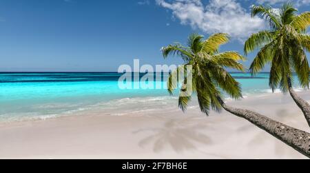 Idyllischer tropischer Strand mit Palmen. Stockfoto