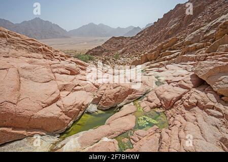 Süßwasser-Pool unter Dachüberstand im einsamen Berg canyon Stockfoto