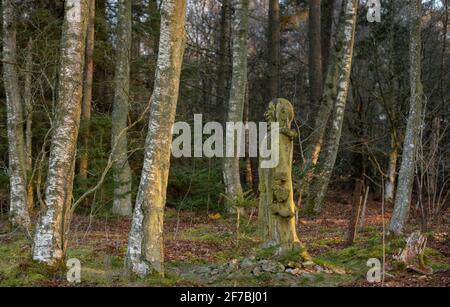 Wooplaw, Scottish Borders, Schottland Großbritannien. 6. April 2021 Wooplaw Community Woodland Woods, Wooplaw, Scottish Borders, Schottland Großbritannien. Schottland, Großbritannien., Weather, Image zeigt eine Skulptur in Burr Ulme von Tim Stead vom russischen Künstler Eduard Bersudsky Tim Stead, einem Holzbildhauer und Möbelbauer, der in der Nähe im Dorf Blainslie lebte, der versuchen wollte, einen Teil der massiven Ulme zu ersetzen, Eichen und Eschen, die er in seinen Kunstwerken verwendet hatte. Wooplaw ist ein Gebiet mit vielfältigen Wäldern an den schottischen Grenzen. Quelle: phil wilkinson/Alamy Live News Stockfoto