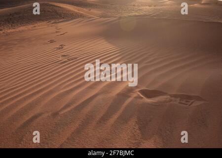 Sonnenuntergang über den Sanddünen mit Fußabdrücken in der Wüste. Die Geisterstadt Al-Madam liegt etwa 60 km von Dubai City entfernt. vereinigte arabische emirate. Das Konzept Stockfoto