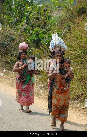 Chatikona, Indien - 2021. Februar: Adivasi-Frauen vom Stamm Dongria Kondh gehen am 17. Februar 2021 in Chatikona, Odisha, zum Chatikona-Markt Stockfoto