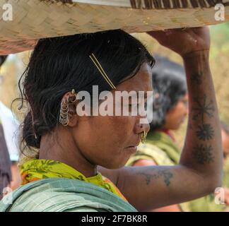 Chatikona, Indien - 2021. Februar: Eine Adivasi-Frau vom Stamm Desia Kondh kauft am 17. Februar 2021 in Odisha auf dem Chatikona-Markt ein. Stockfoto