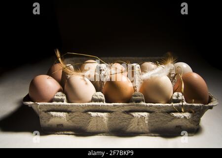 Eier in einer Eierbox mit Federn und Stroh Stockfoto