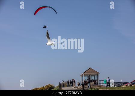 Paragleiter fliegen an einem windigen Tag entlang der Südwestküste der englischen Riviera, Dorset, England, Großbritannien, über den Strand von Highcliffe. Stockfoto