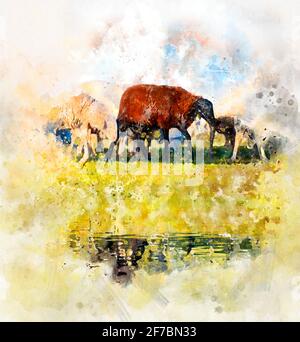 Aquarell Zeichnung der Gruppe oder Herde von Schafen in a Ländliche Gebiet von spanien Stockfoto