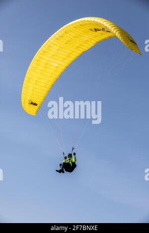 Paragleiter fliegen an einem windigen Tag entlang der Südwestküste der englischen Riviera, Dorset, England, Großbritannien, über den Strand von Highcliffe. Stockfoto