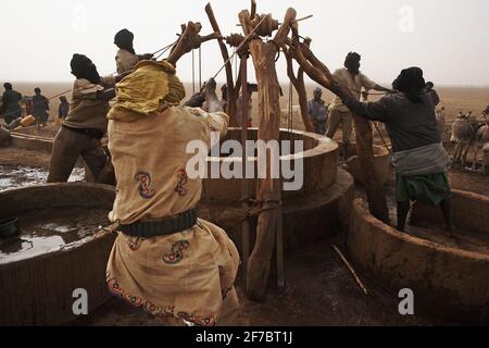 Mali/Timbuktu/ Menschen, die Wasser aus einem Wüstenbrunnen in der Sahara in Mali, Afrika, ziehen. Stockfoto