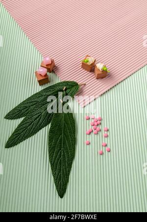 Vertikaler flacher Hintergrund mit zwei Paar Ohrstöpseln - Silikon Und silikonfreie und rosa Pillen und grüne Blätter von oben Stockfoto