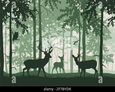 Hirsch mit Rehe und Rehkitz in einem magischen Nebelwald. Eule auf Ast. Silhouetten von Bäumen und Tieren. Grüner Hintergrund, Abbildung. Stockfoto