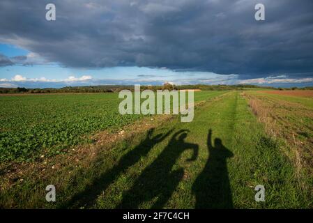 Glück. Lustige Schatten von drei Personen auf dem Gras bei Sonnenuntergang. Familie wandern auf Feldern und machen lustige Selfie. Frankreich. Natürlicher Lebensstil Stockfoto