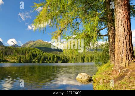 Bergsee Strbske Pleso im Nationalpark Hohe Tatra, Slowakei