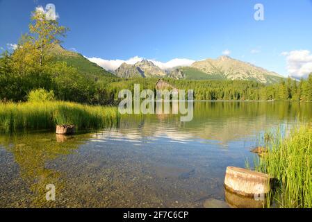 Bergsee Strbske Pleso im Nationalpark Hohe Tatra, Slowakei, Europa Stockfoto