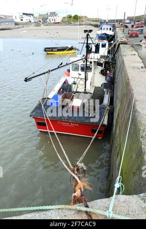 Küstenfischerei vom Hafen von Lougshinny, Irland Stockfoto