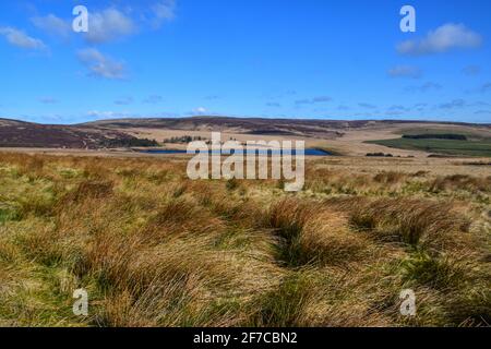 Heptonstall Moor, Pennines, Pennine Way, West Yorkshire Stockfoto