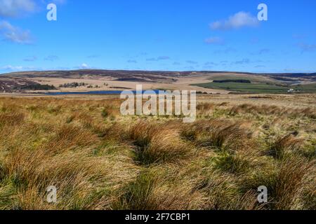 Heptonstall Moor, Pennines, Pennine Way, West Yorkshire Stockfoto